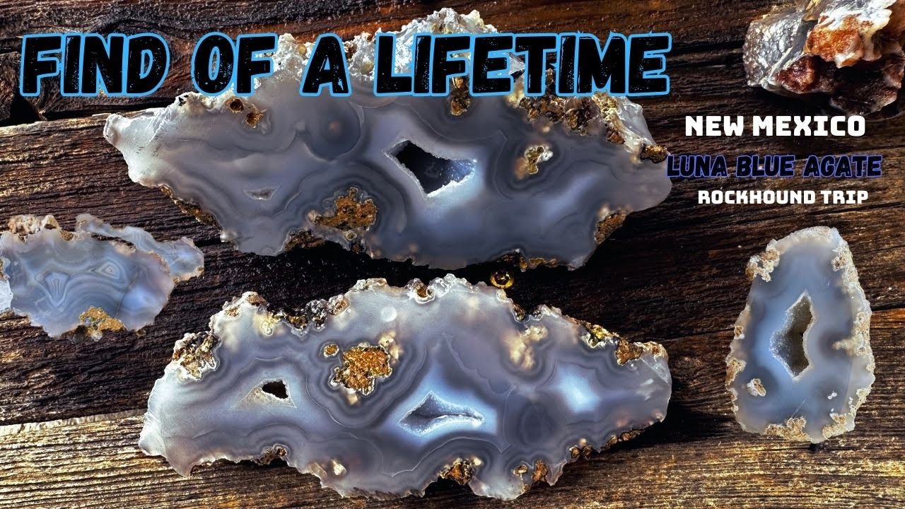 Luna Blue Agate, Super Rare/ Rockhound Trip New Mexico Via Alpine AZ