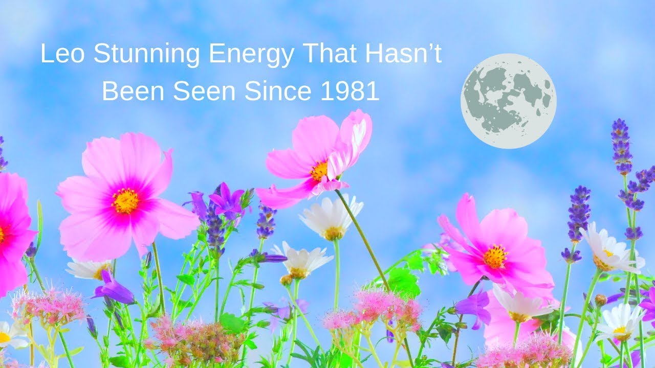 Leo Stunning Energy That Hasn’t Been Seen Since 1981 ~ Tarot Reading