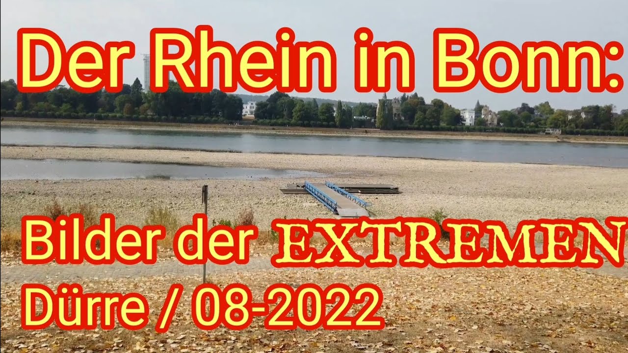 Extreme Dürre & Trockenheit: der Rhein in Bonn / Unfassbares Niedrigwasser 08-2022