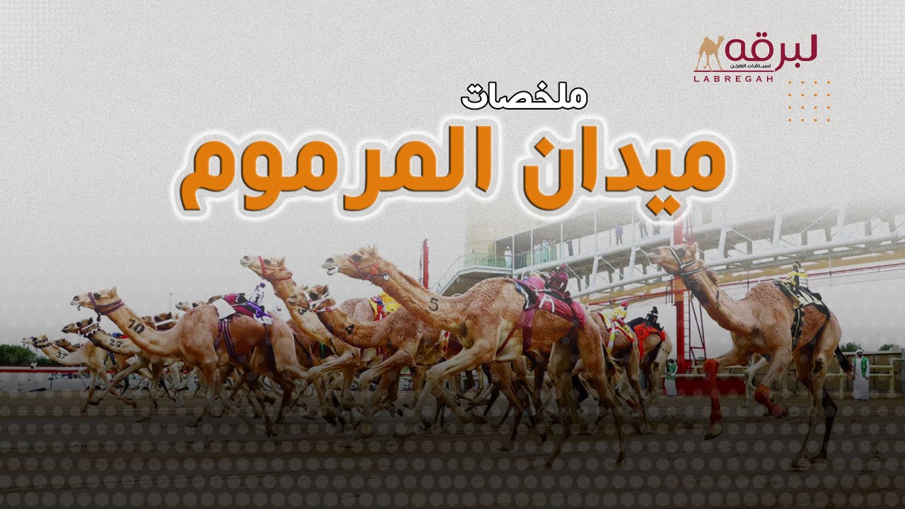 ملخص أشواط اللقايا لأبناء القبائل (مهرجان سمو ولي عهد دبي) ميدان المرموم - مساء 18-01-2026