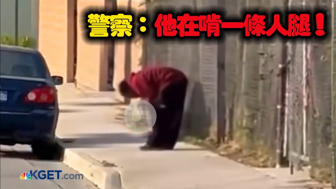 車禍死者腿部丟失，街友撿走後竟然吃了起來！ | 4個網路超怪影片 #午夜 #MiDnight