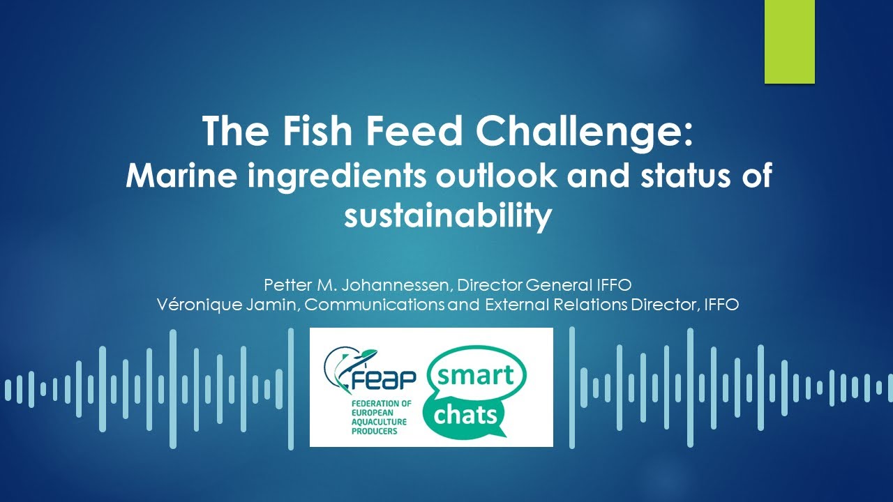 FEAP Smartchat: the Fish Feed Challenge