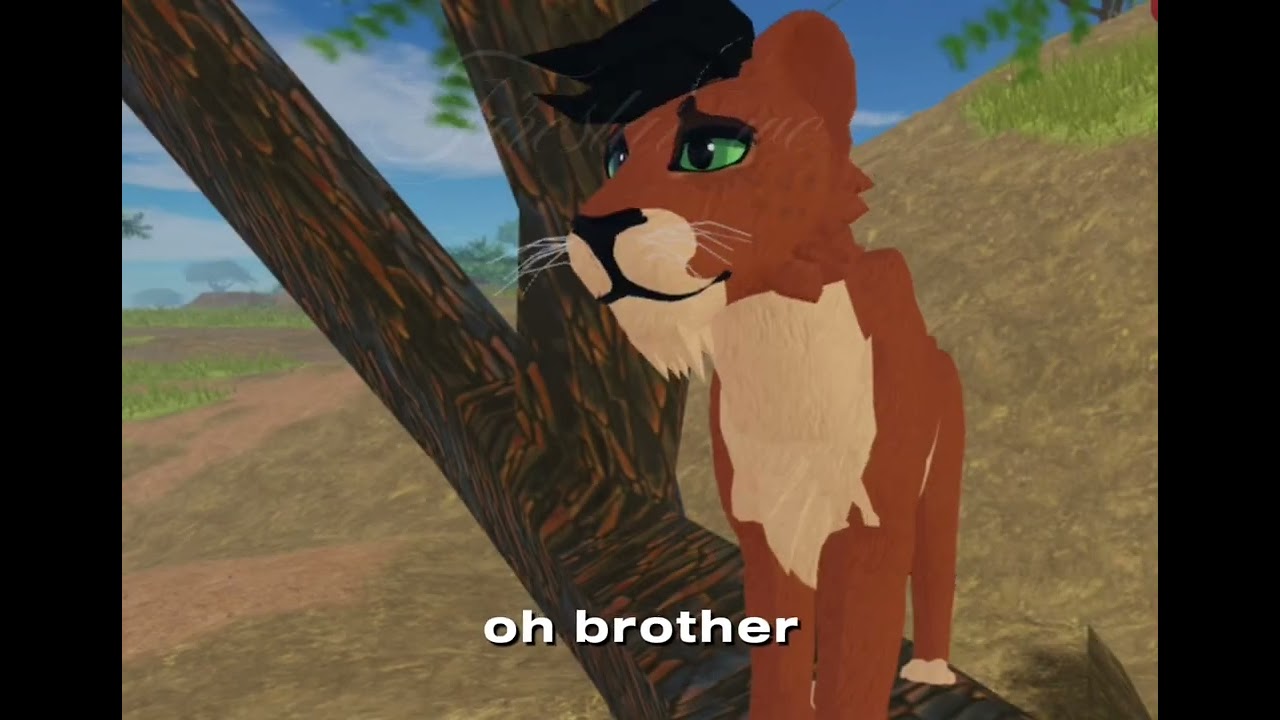 I always wanted a brother (lp) Ft. My irl friend @winter_wc