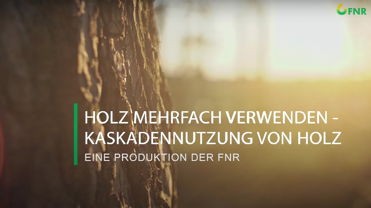 Holz mehrfach verwenden – Kaskadennutzung von Holz