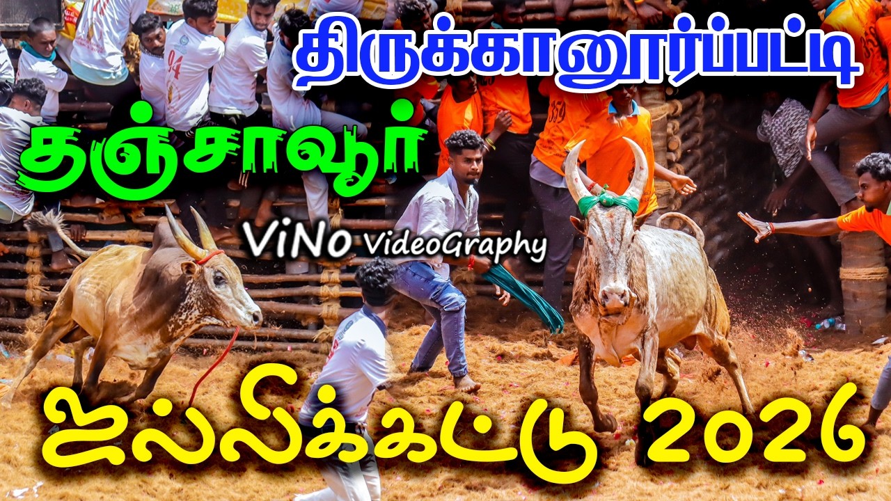 Thanjavur Jalllikattu 2026 | தஞ்சாவூர் திருக்கானூர்பட்டி ஜல்லிக்கட்டு 2026 ViNo Videography Live 🔴