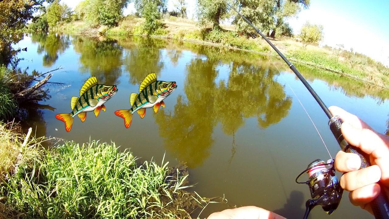 Spinning Fishing Trip Adventure