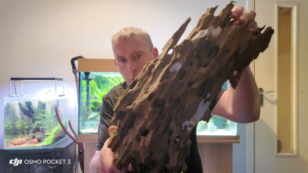 What is AQUASCAPING where did I begin and how can you!!!
