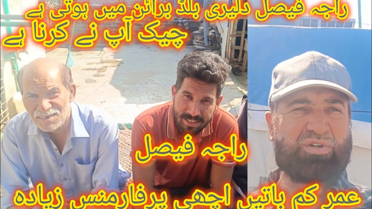 Raja Faisal dalari bloodline ke andar hoti hai  baten bhi acchi dalari bhi ziada