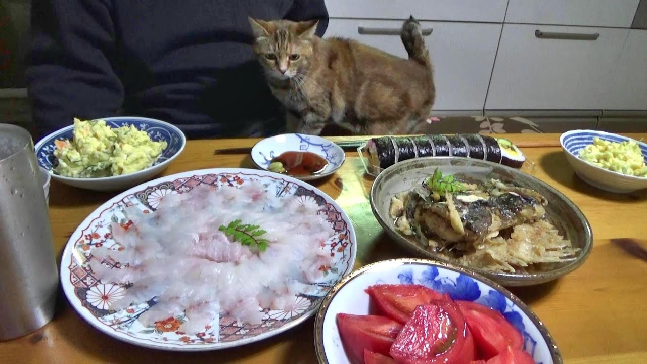 魚を喰う日々～おじさんとおばさんと猫三匹