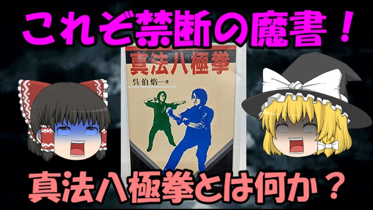 これぞ禁断の魔書！真法八極拳とは何か？