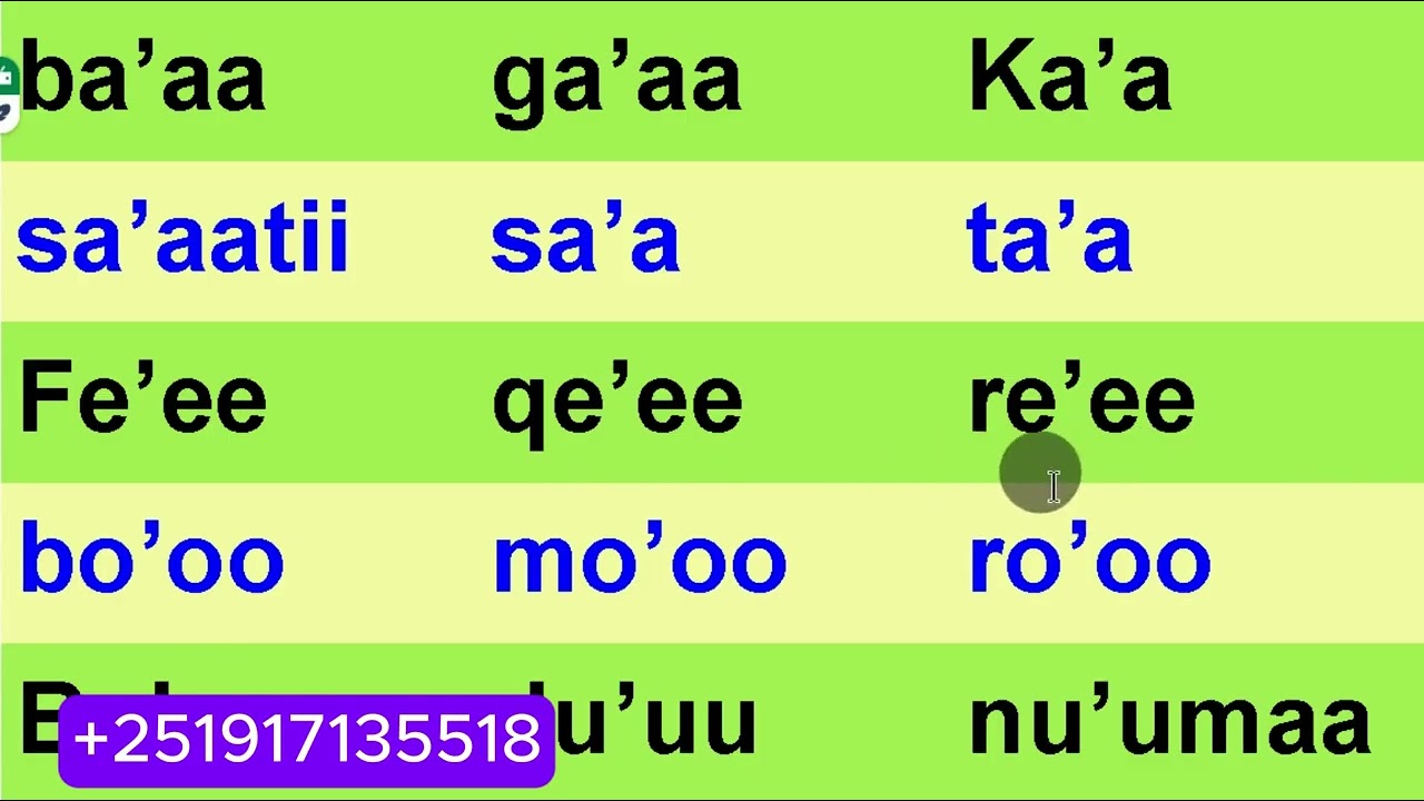 Sagalee Hudhaa || Apostrophes word in Afaan Oromoo