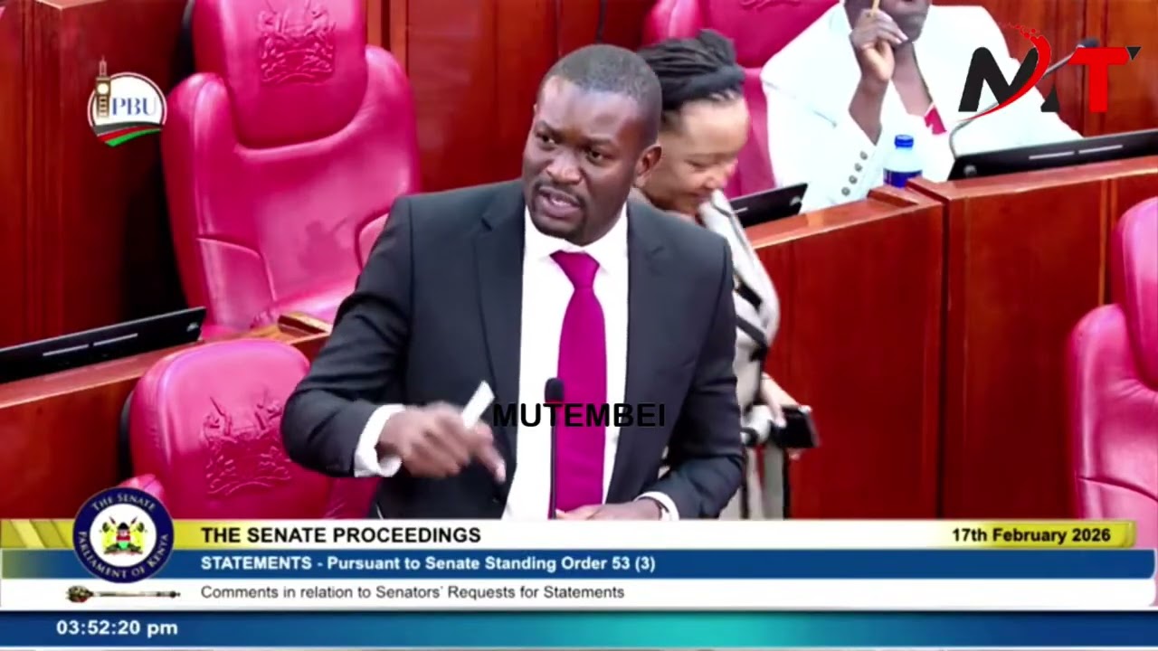 MIMI NDIO SIFUNA LISTEN TO SEN SIFUNA POWERFUL REMARKs IN SENATE!!