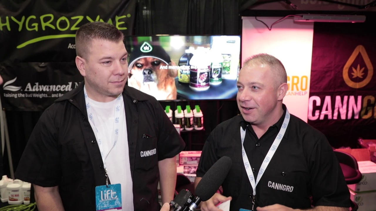Lift Cannabis Expo
