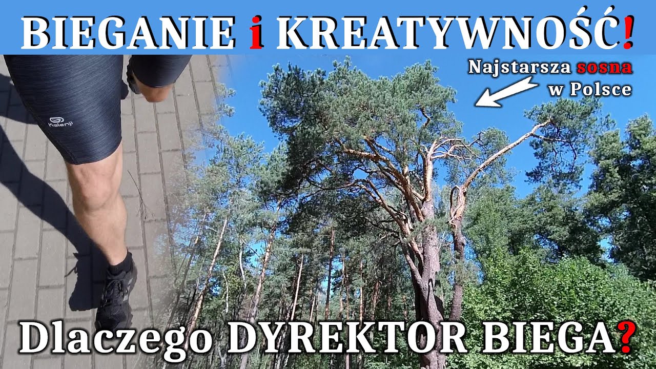 Biegi 34 - Bieganie i KREATYWNOŚĆ! Czyli dlaczego DYREKTOR biega? Jak biega się nad morzem -r&oacute;żnice!