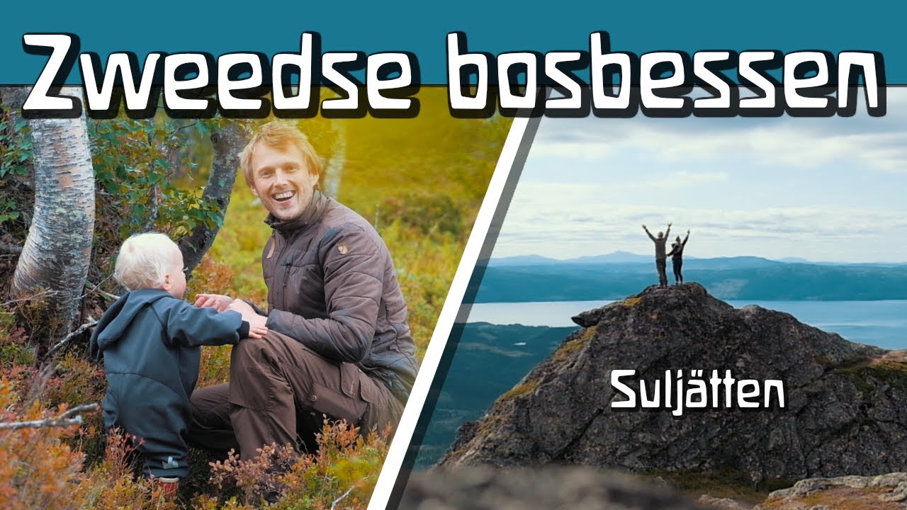 prachtige Zweedse Suljätten beklimmen • bosbessen snoepen • buitenfamilie