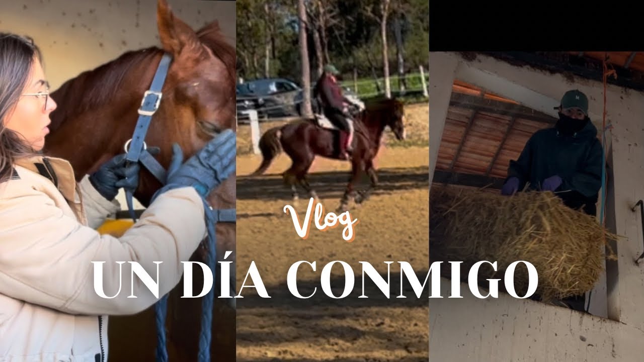 🥶Un día conmigo🐴