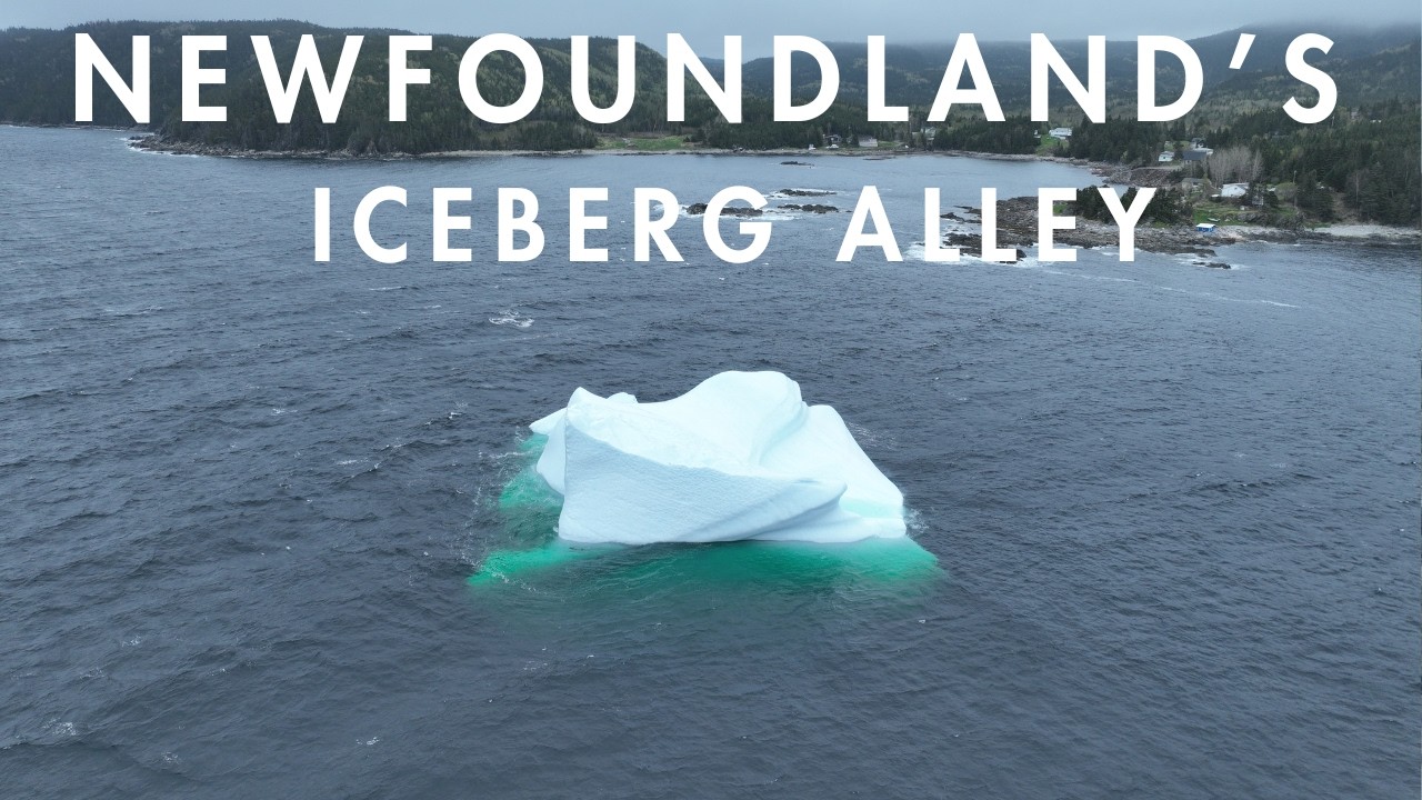 Nature's dramatic landscapes - Newfoundland's Iceberg Alley