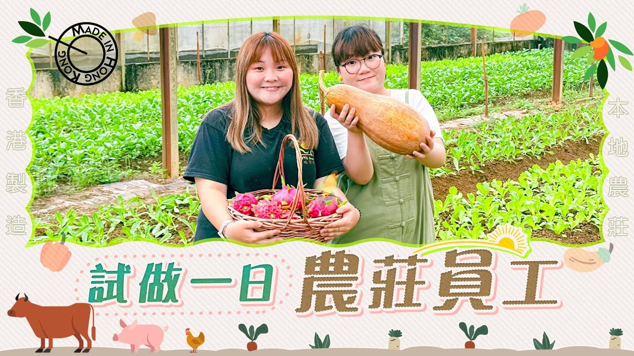 【留港好去處 】參觀香港15萬平方呎有機農莊｜介紹港產農作物 ｜香港都有仙人掌園｜親親大自然｜ViuFood