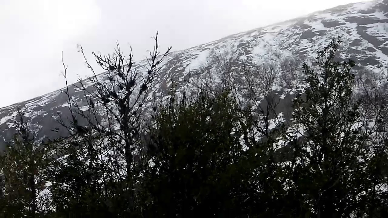 Invernal Mustallar