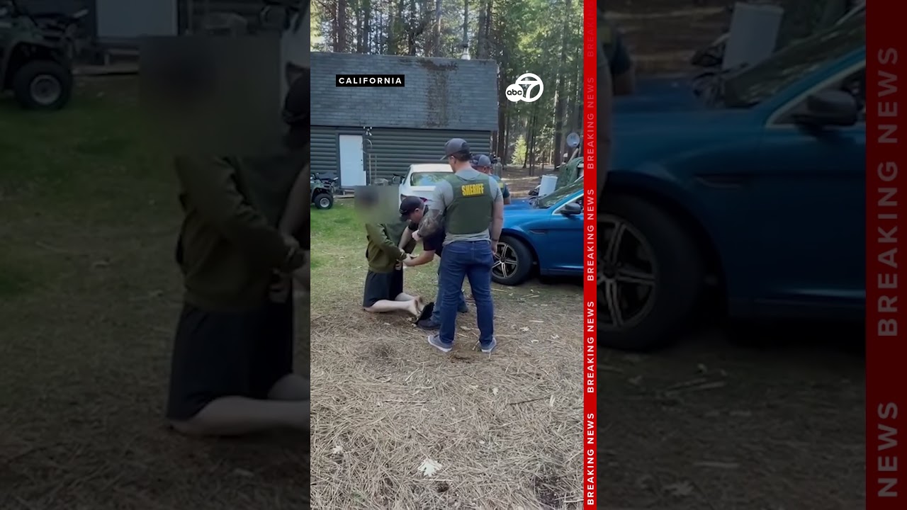 В округе Шаста проведена тайная операция по борьбе с интернет-преступниками; арестованы 3 подозре...