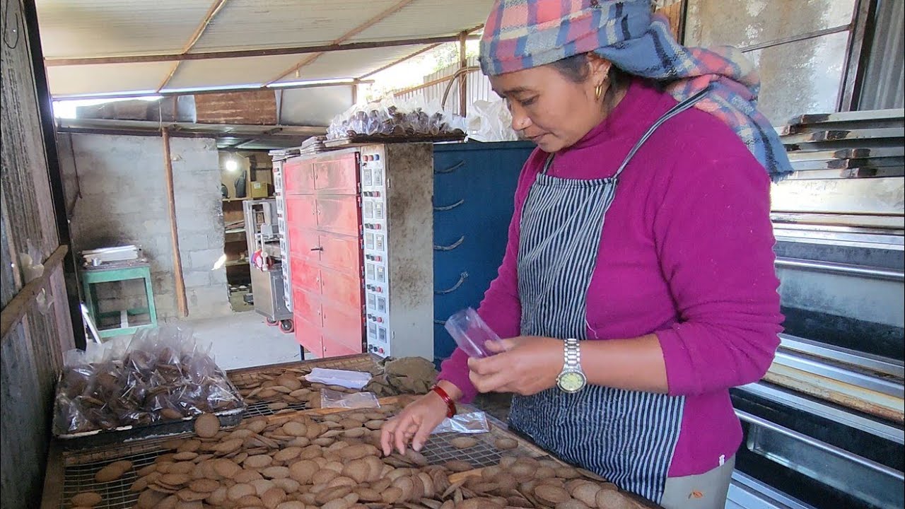 Biscuit Packing 