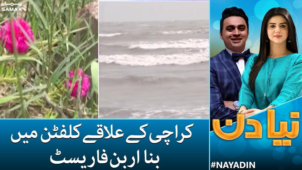 Karachi ke elaqay clifton mein bana Urban forest | Naya Din | 22 August 2022