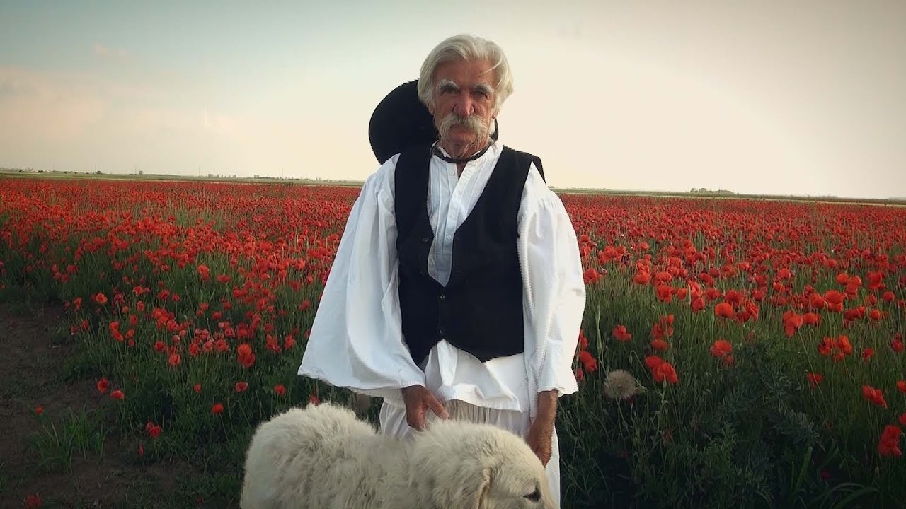 Kárpát-medence - Apró István magyarkanizsai kuvasztenyésztő 2023.06.02.