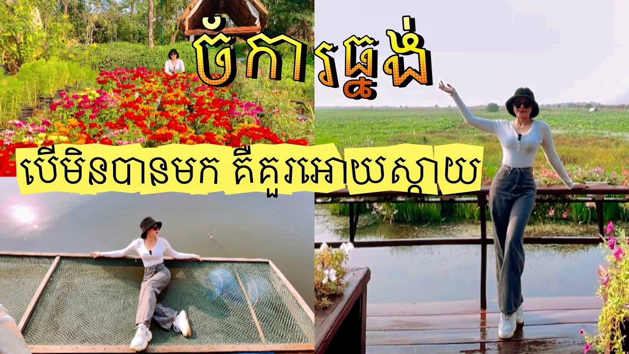 មកមើលចំការធ្នង់ បើមិនបានមកគឺគួរអោយស្តាយ។ #ចំការធ្នង់