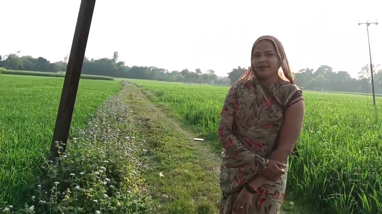 गांव की देहाती खेती बाड़ी की सीन अच्छी लगी तो आप लोग लाइक शेयर सब्सक्राइब कमेंट करके बताना