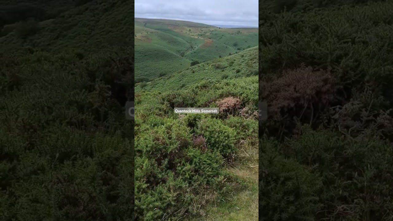 Quantock Hills Somerset Beautiful views ❤️❤️