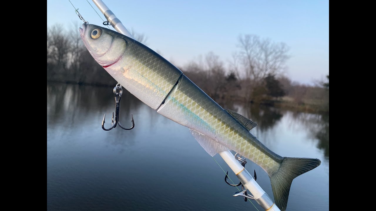big easy swimbait video