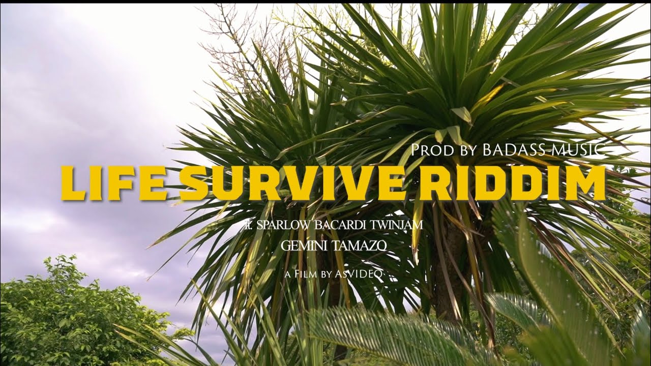 BADASS MUSIC - LIFE SURVIVE RIDDIM(SPARLOW, BACARDI, TWINJAM, GEMINI&TAMAZO) - (Official Video)