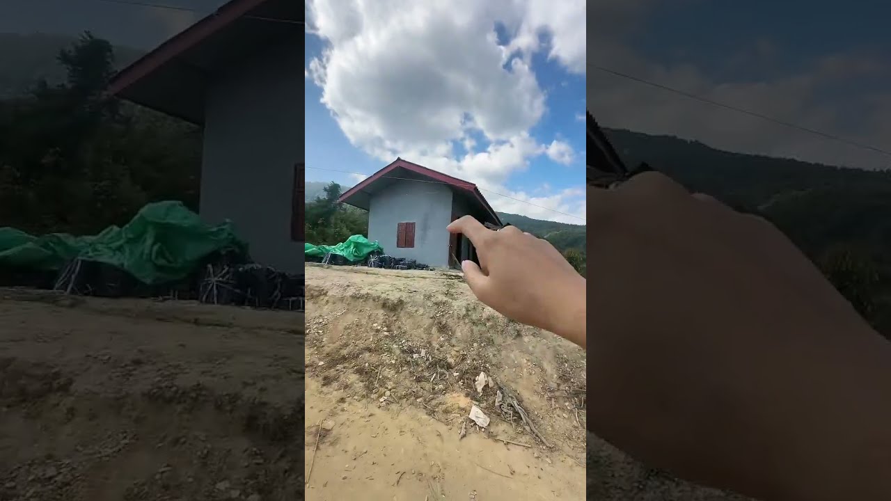 （1612）牛牛阿娜日常生活 给媳妇建房日常
