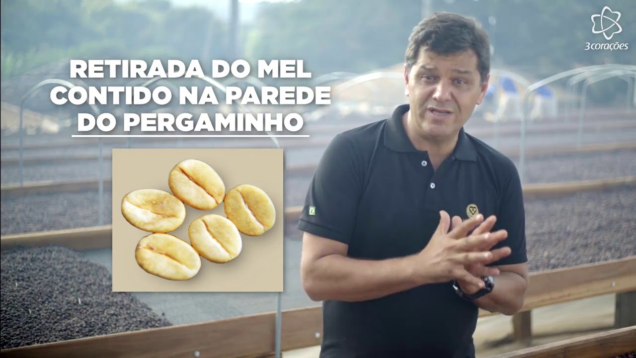 Modulo 1   Videoaula 2   Processamento por via umida e via seca e processos de secagem 1