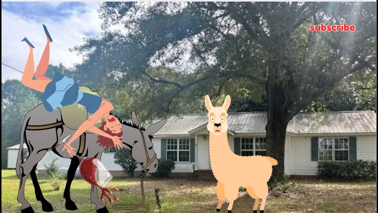 7 Acres w/$109k House🏡 on a Road Less Traveled. Georgia