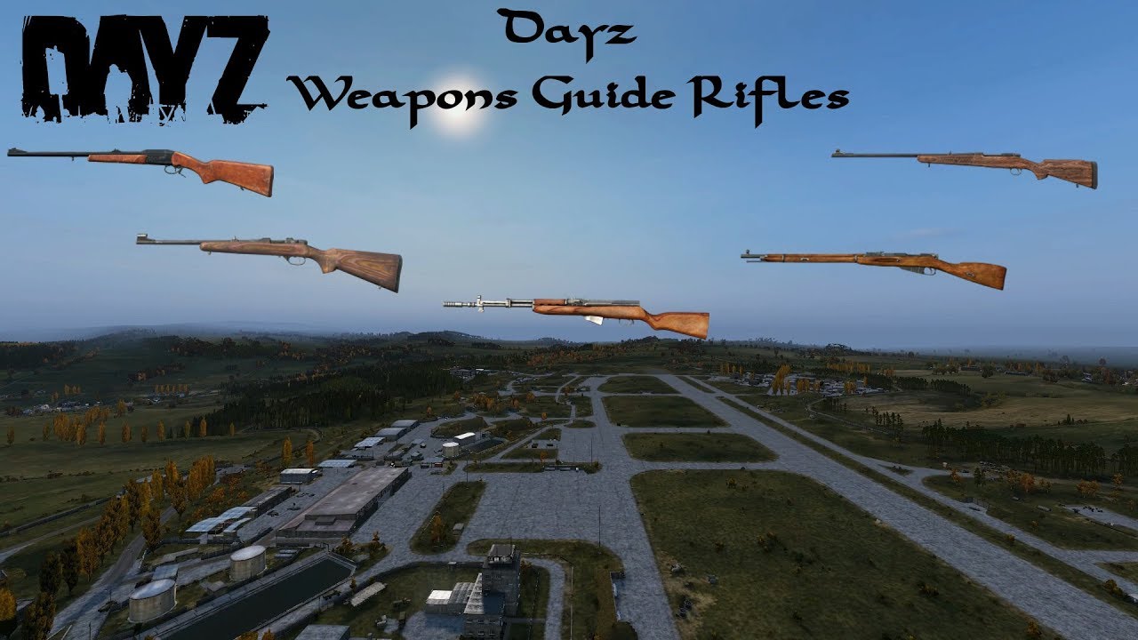 Dayz  : Weapons Guide : Rifles