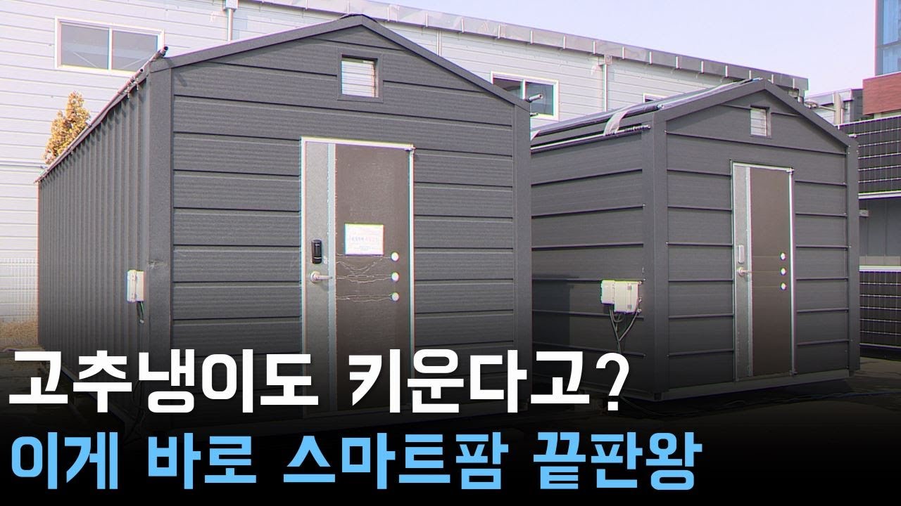 고추냉이도 키운다고? 이게 바로 스마트팜 끝판왕