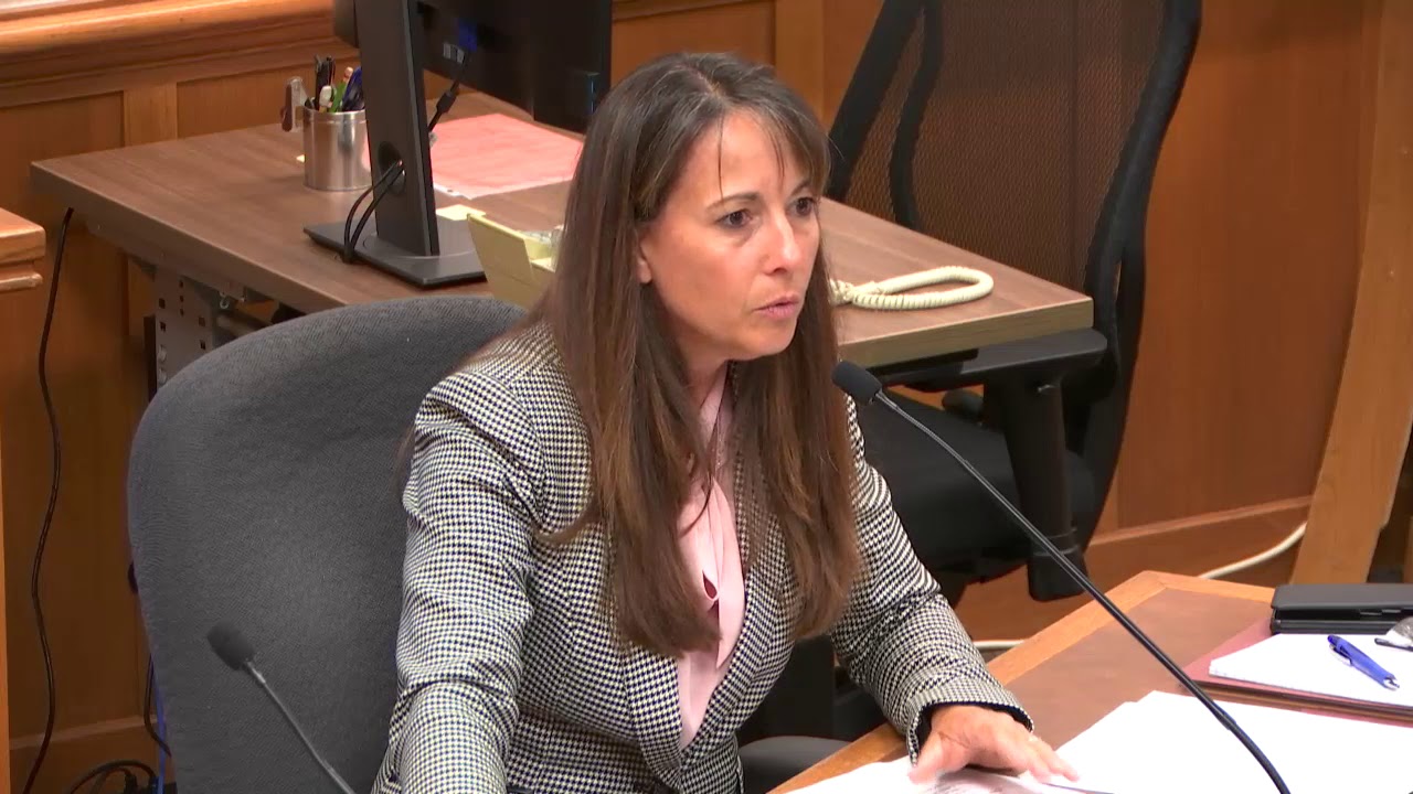 Finance Committee - Review of FY 2020 and 2021 Two-Year Financial Plan - 2019-04-30