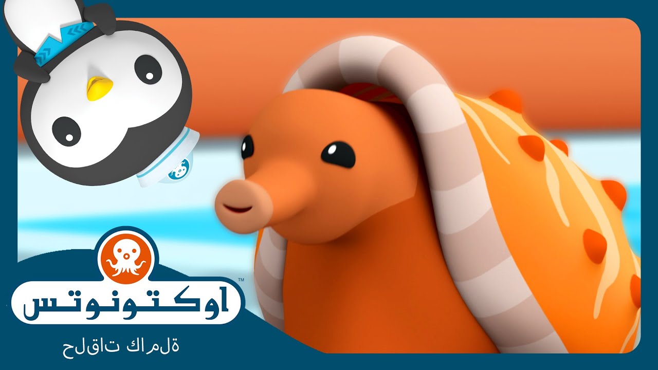 أوكتونوتس | 😱 الحلزون المخروطي السام 🐌 | السلسلة 3 | الحلقة 3