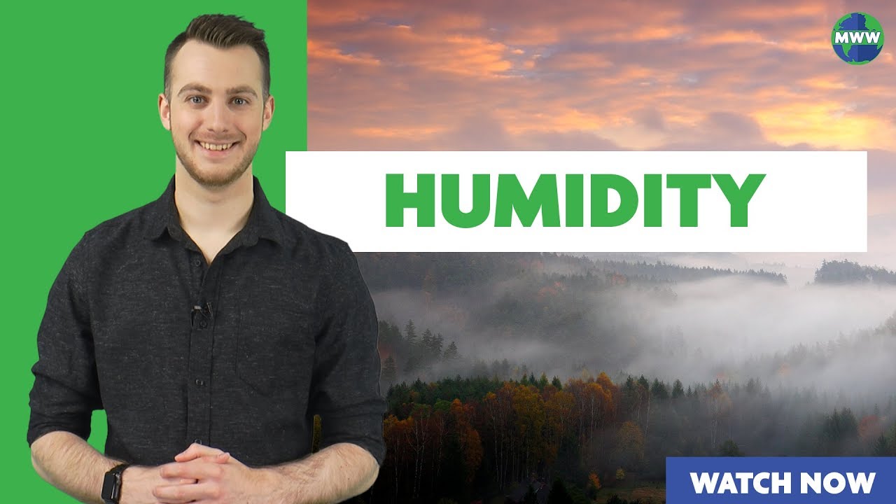 Best Earth Science Videos | What is Humidity?