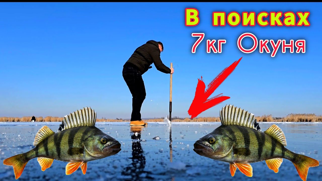 В Поисках Крупного ОКУНЯ!!! Где  ОКУНЬ ЗИМОЙ? ЗИМНЯЯ РЫБАЛКА 2026.