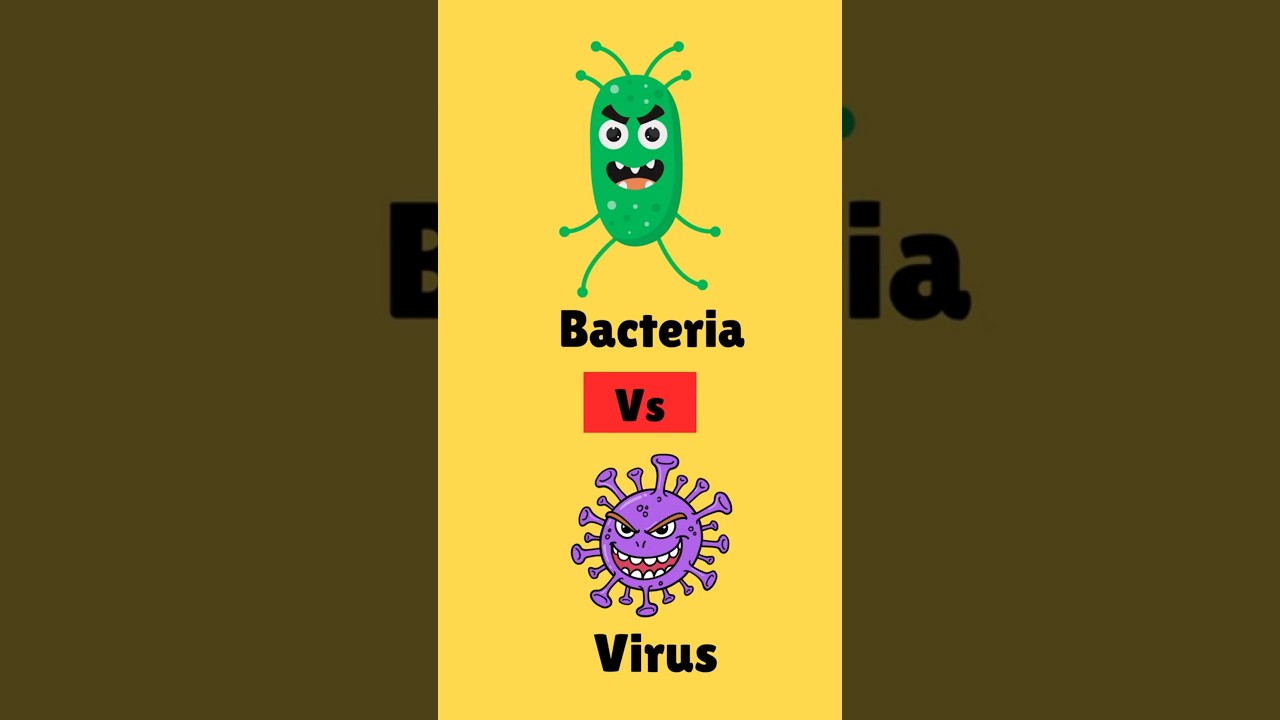 Bacteria vs Viruses- What are their differences?