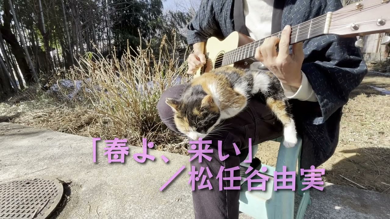 春よ、来い／松任谷由実／ソロギター／オリジナルアレンジ