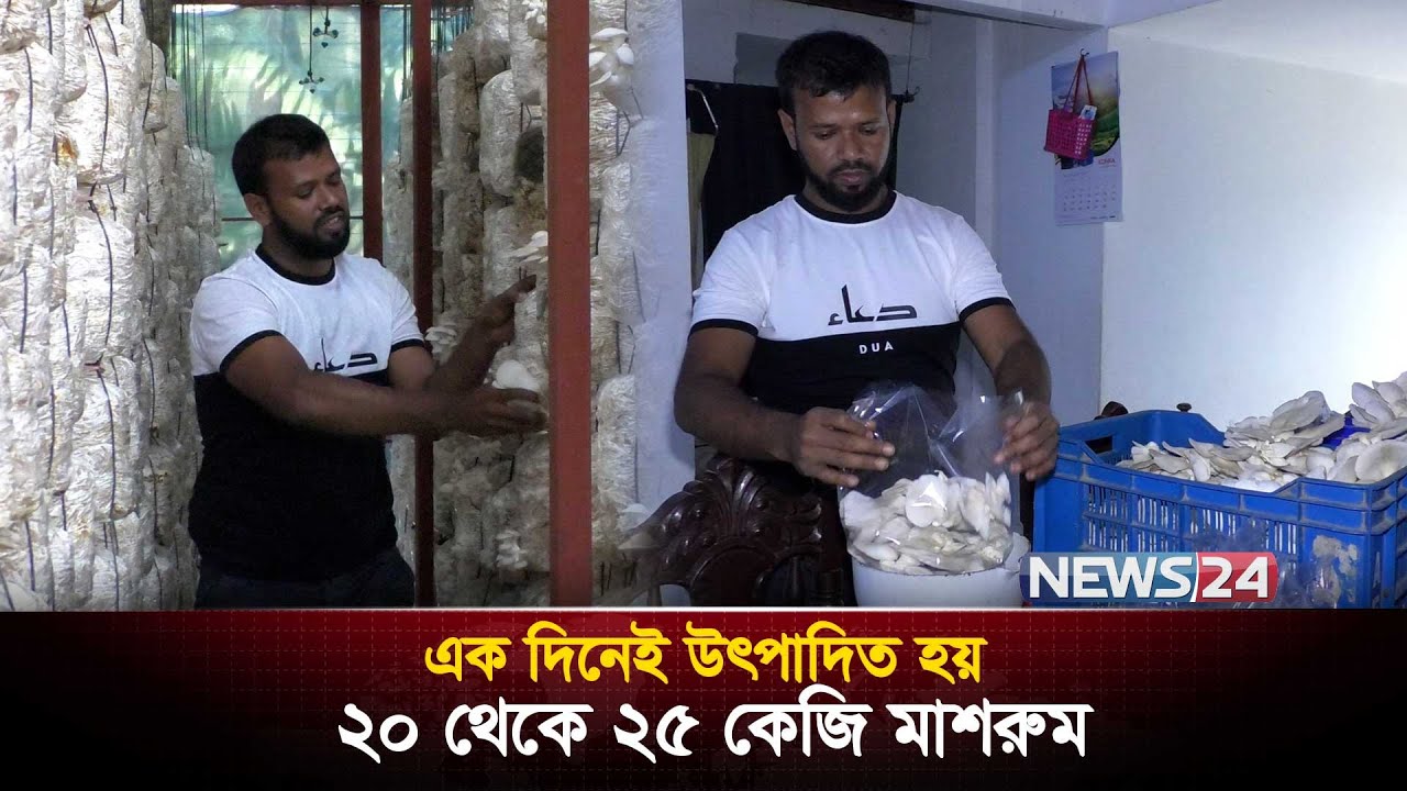 বিদেশি মাশরুম চাষে সফল উদ্যোক্তা মো. দেলোয়ার | News24 Special