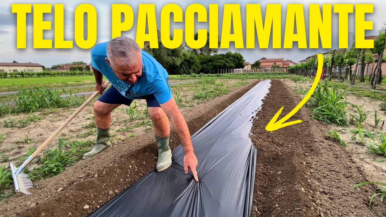 Impianto di IRRIGAZIONE a GOCCIA + TELO PACCIAMANTE: Come lo installo nell’Orto!