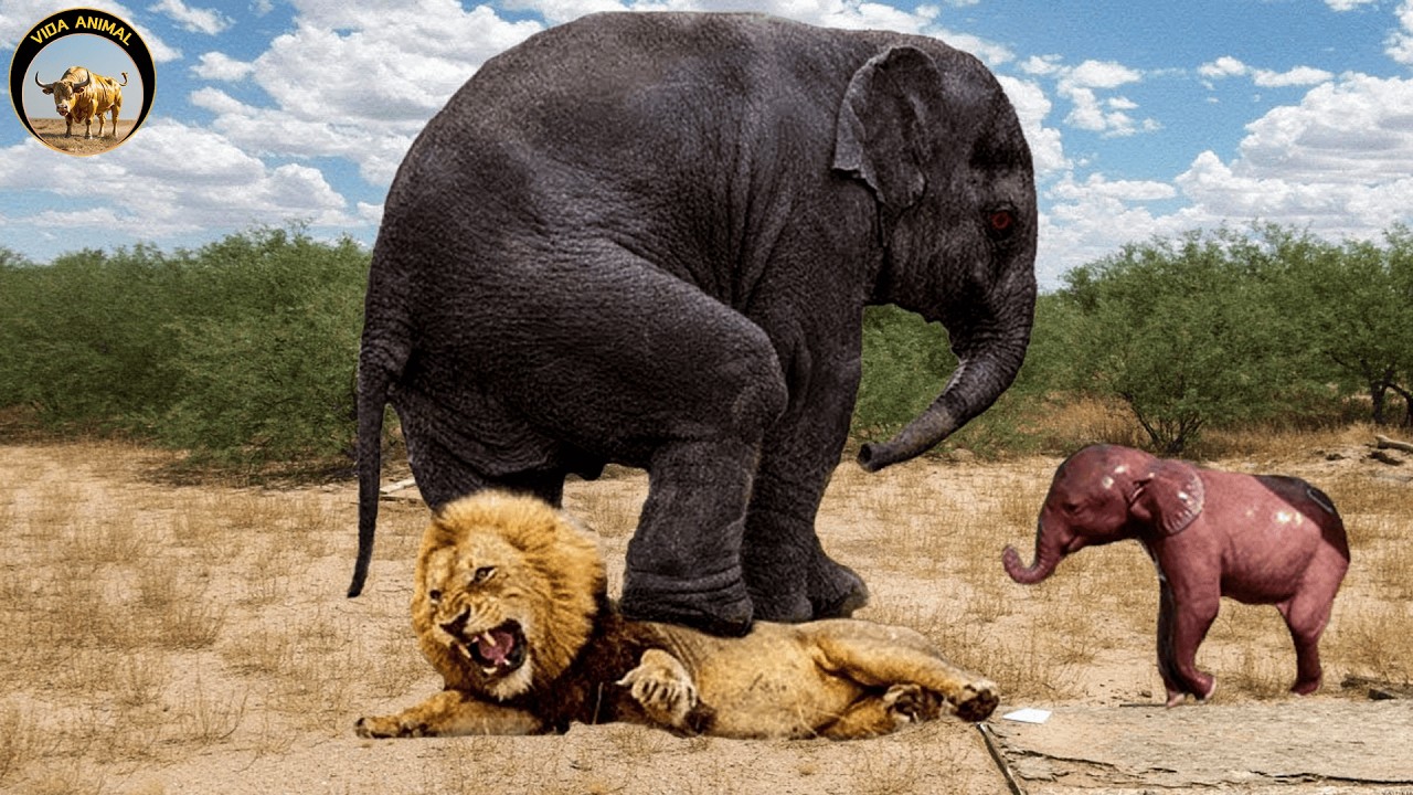 Los Verdaderos Reyes de la Naturaleza Salvaje #animales #animalessalvajes | Vida Animal TV
