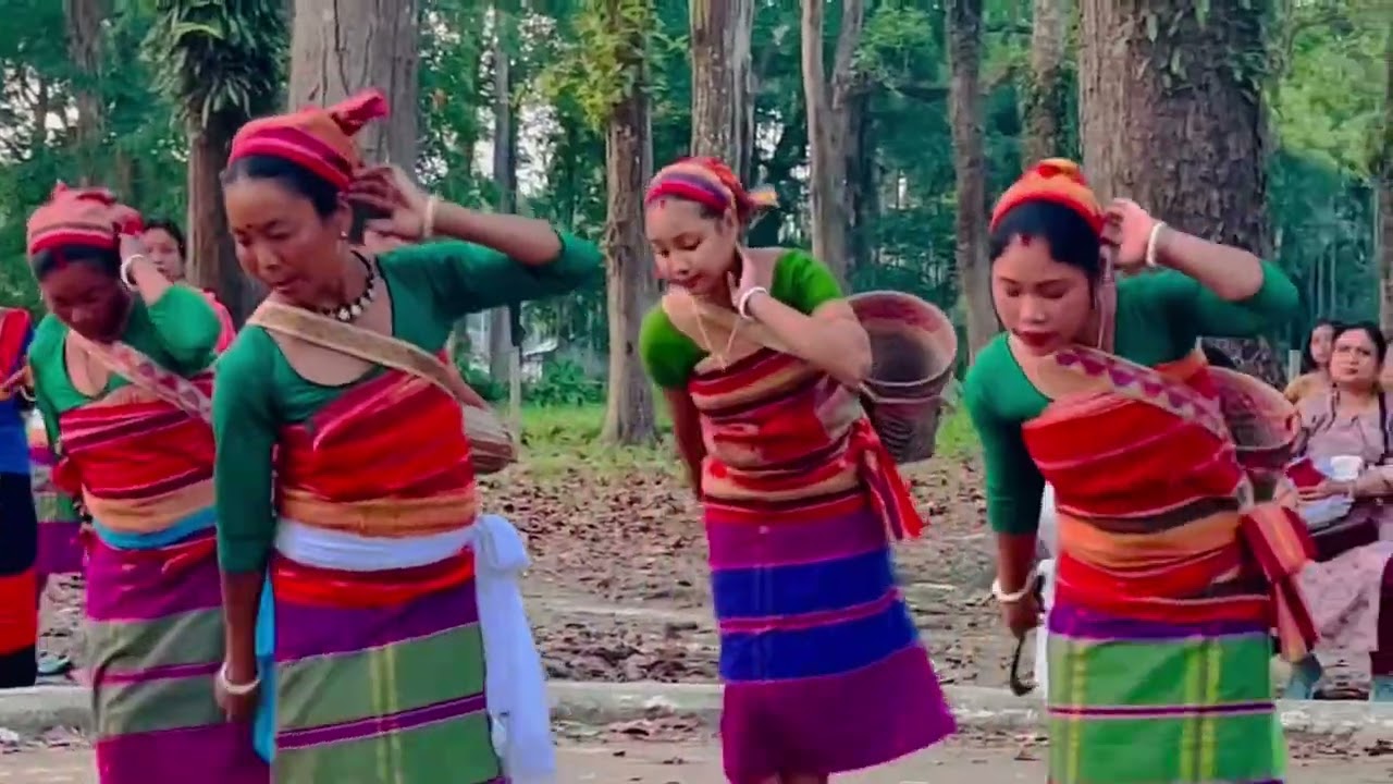 Rava Dance || Chilapata Dooars || West Bengal Folk Dance