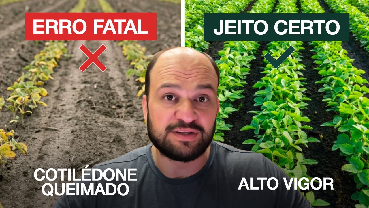 Como Evitar os Erros FATAIS que Reduzem Produtividade de Soja!