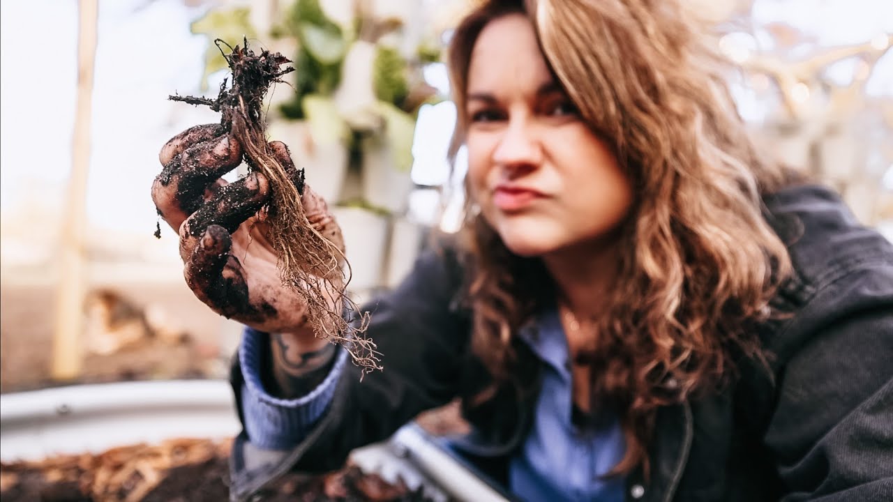 Oops, I messed up (Time to do some gardening) | VLOG
