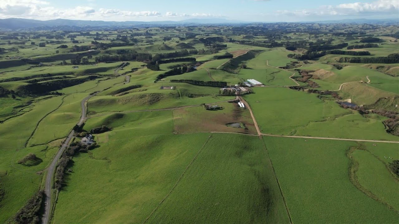 WITHDRAWN FROM SALE - Efficient Buying at $30,000/ha - 230 hectare Dairy Farm